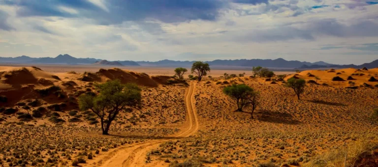 Kalkfeld Safari Lodge