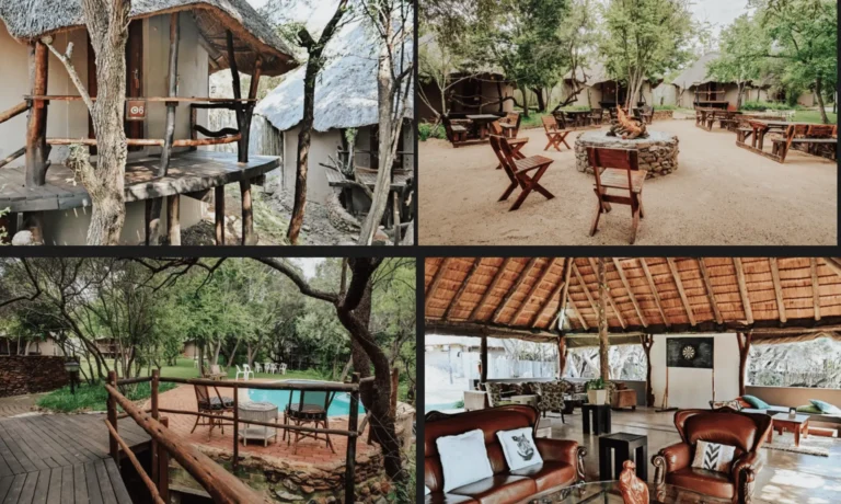 Collage: Feuerstelle, Terrasse und Lounge der Buschlodge
