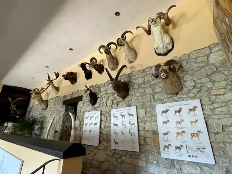 Natursteinwand mit Steinbock- und Muffeltrophäen