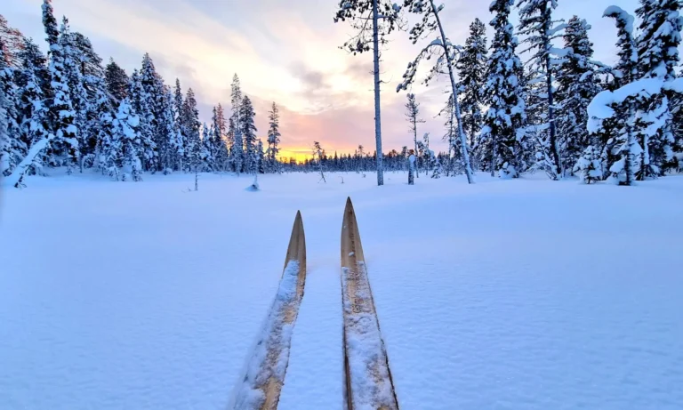 Langlaufski im Schnee vor verschneitem Wald bei Sonnenuntergang