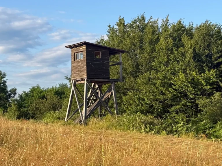 Hölzerner Hochsitz am Waldrand über einer Wildwiese im bulgarischen Jagdrevier
