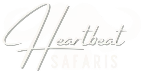 Logo HeartbeatSafaris