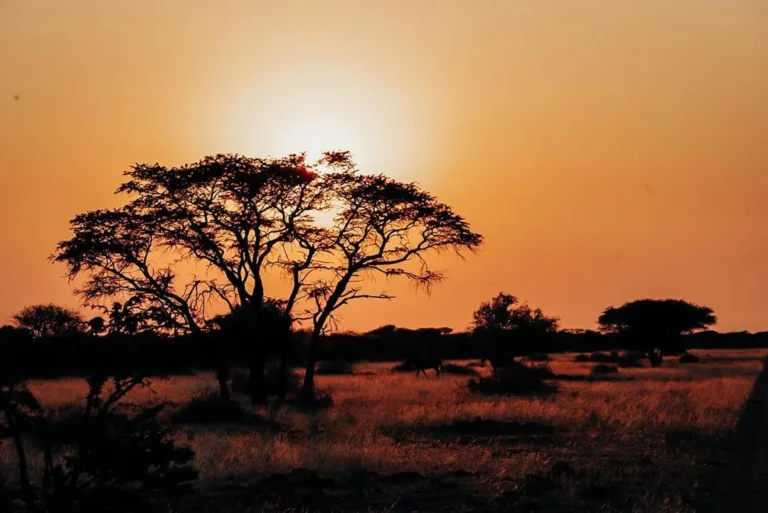 Kalahari Safari Lodge